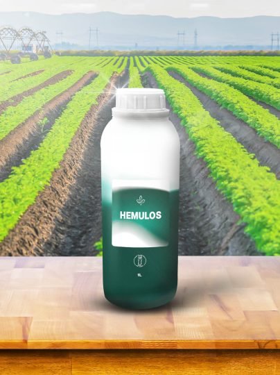 HEMULOS_1